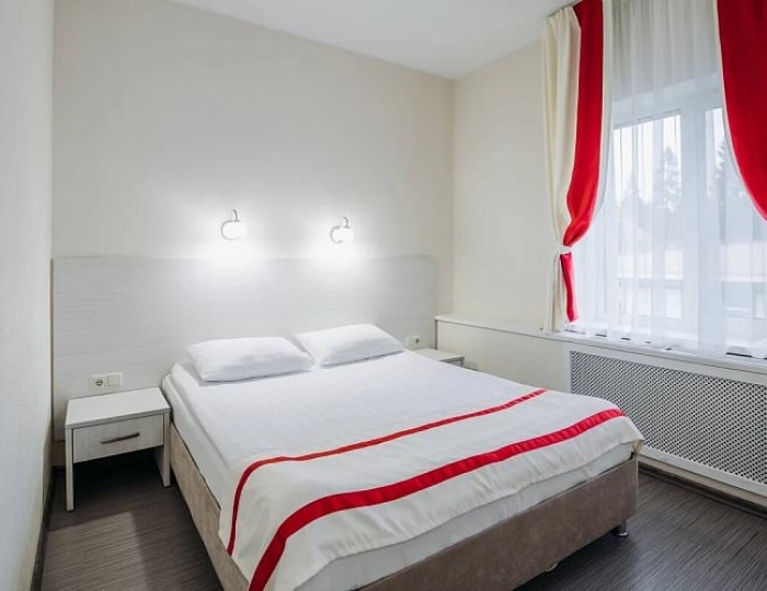 Однокомнатный люкс - Парк-отель Lesnoy / Лесной