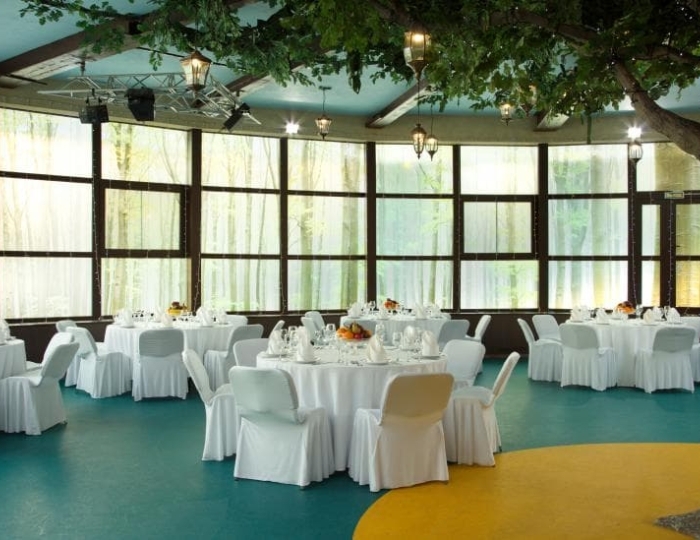 Бар «Лесной» - Парк-отель Lesnoy / Лесной